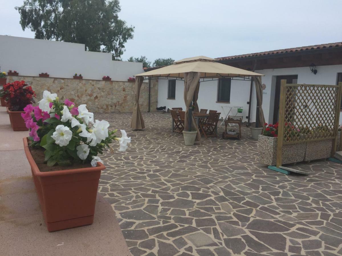 Casa Bice - Cin P4163 Ferienhaus Alghero